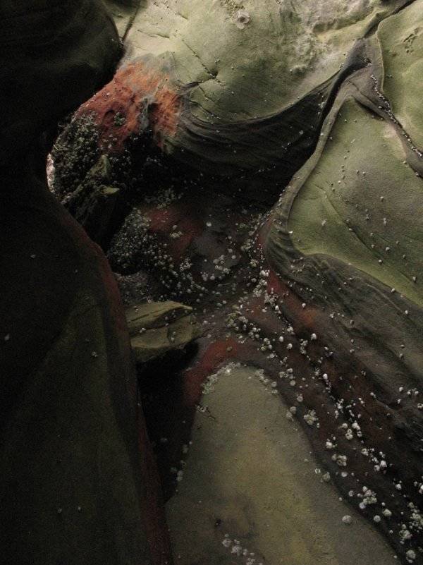 Deep And Mysterious Facts About The Abyss Of The Ocean