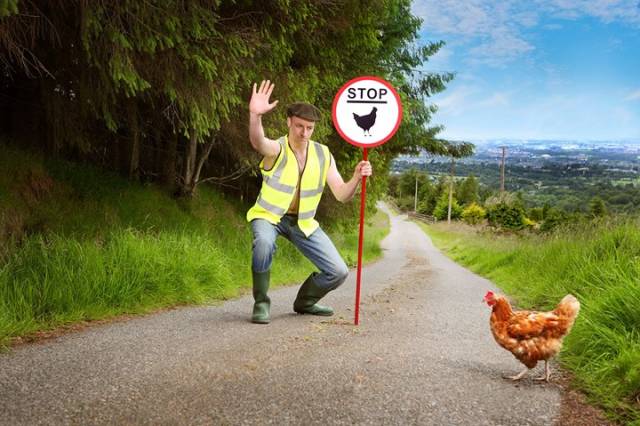 Irish Farmers Have Finally Released Their Fabulous 2019 Calendar!