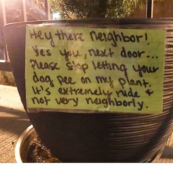 No One Is Safe From Bad Neighbors