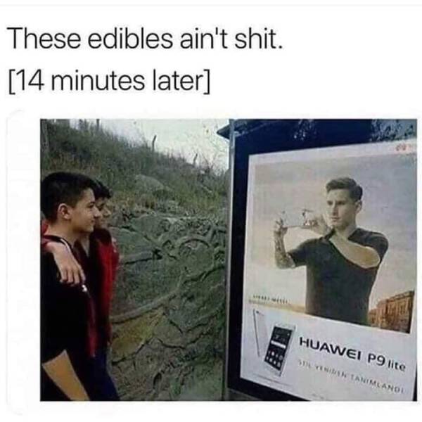 Memes to Make Your Weekend a Little More Amusing