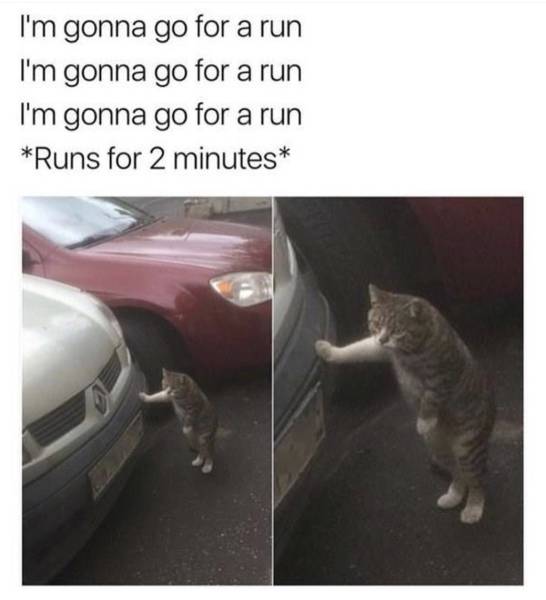 Memes to Make Your Weekend a Little More Amusing