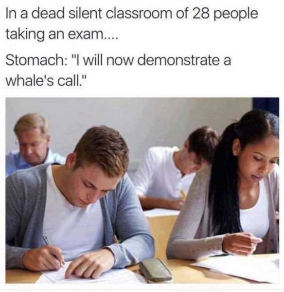Memes to Make Your Weekend a Little More Amusing