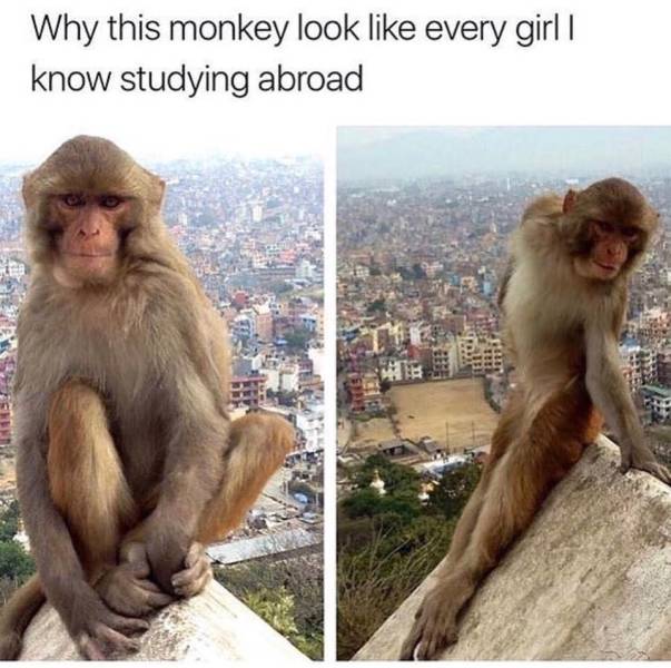 Memes to Make Your Weekend a Little More Amusing
