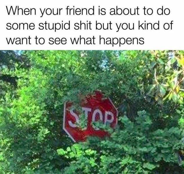 Memes to Make Your Weekend a Little More Amusing