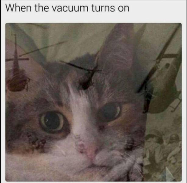 Memes to Make Your Weekend a Little More Amusing