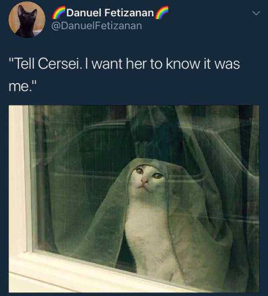 Memes to Make Your Weekend a Little More Amusing