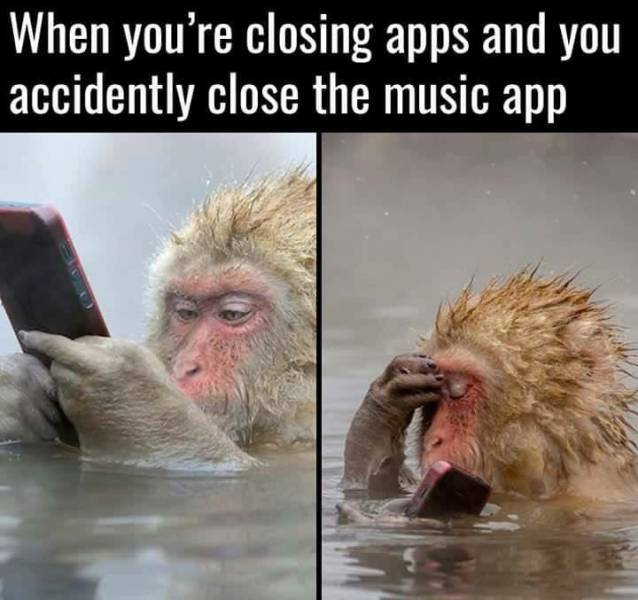 Memes to Make Your Weekend a Little More Amusing
