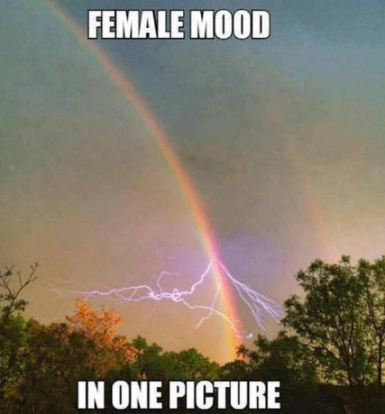 Memes to Make Your Weekend a Little More Amusing