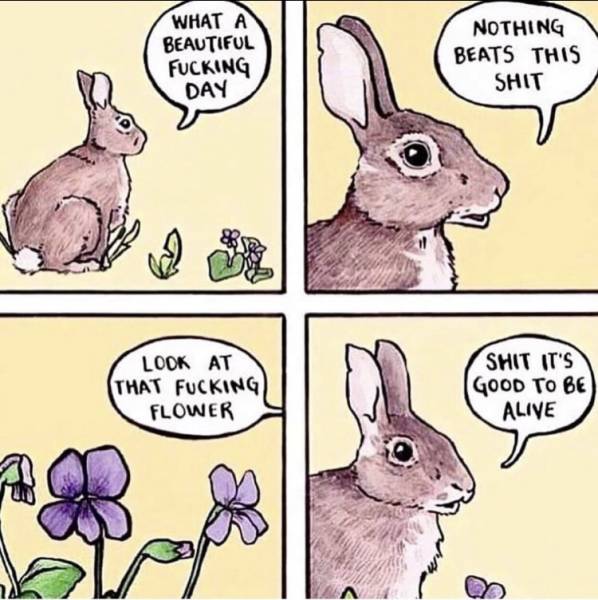 Memes to Make Your Weekend a Little More Amusing
