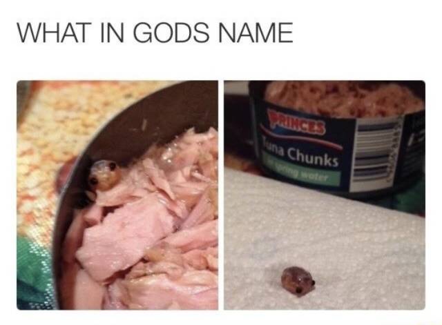 Memes to Make Your Weekend a Little More Amusing