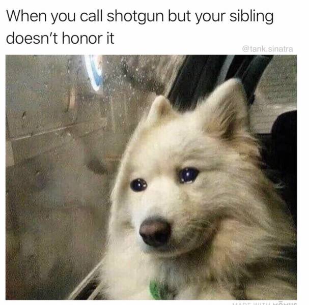Memes to Make Your Weekend a Little More Amusing