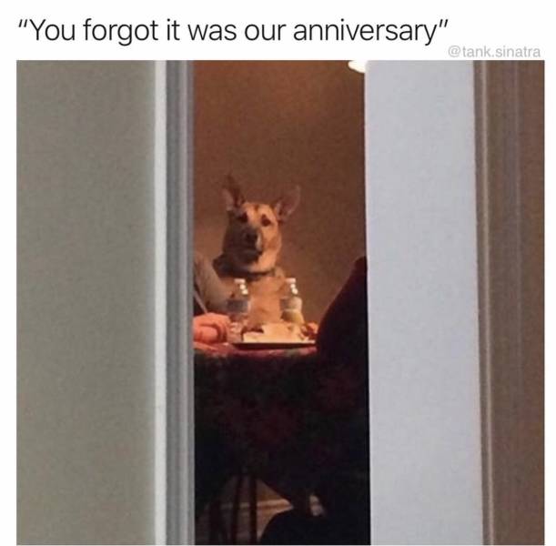 Memes to Make Your Weekend a Little More Amusing