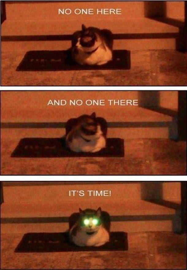 Memes to Make Your Weekend a Little More Amusing