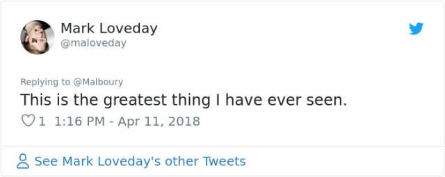 The Only Weapons He Had Were Art And Trolling