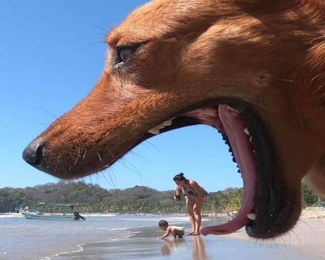 You Don’t Have To Be A Photographer To Take A Perfectly Timed Photo