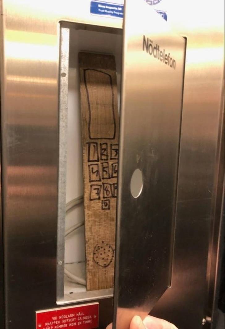 Surprises Can Be Waiting For You Anywhere
