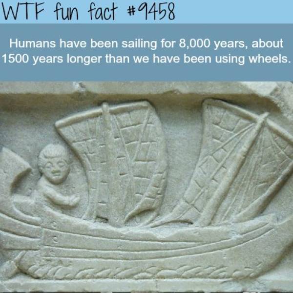 Everyone Likes Facts!