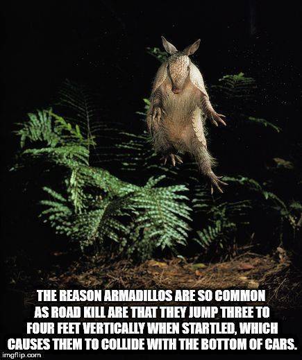 Everyone Likes Facts!