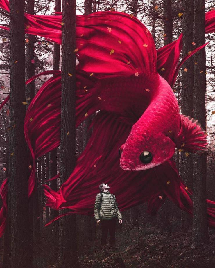 This Photoshop Artist Blurs The Line Between Imagination And Reality