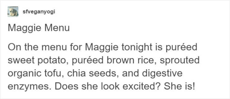 Don’t Try To Force Your Dog To Be Vegan! Don’t Try To Force Your Dog To Be Vegan!