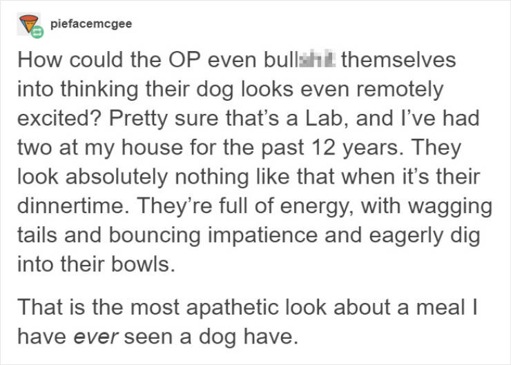 Don’t Try To Force Your Dog To Be Vegan!