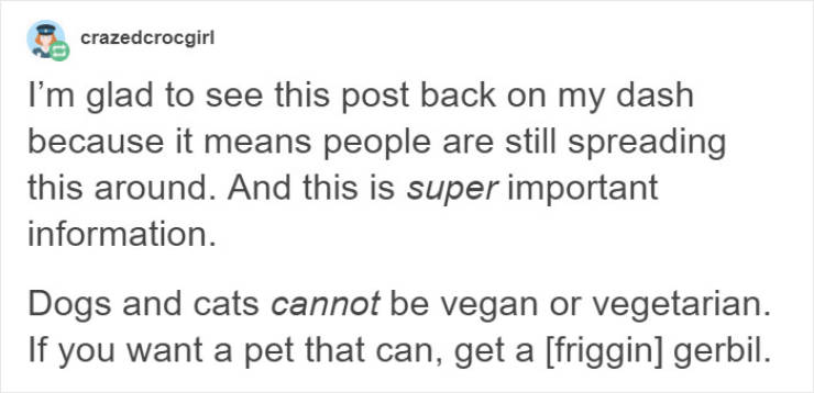 Don’t Try To Force Your Dog To Be Vegan!