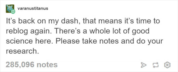 Don’t Try To Force Your Dog To Be Vegan!