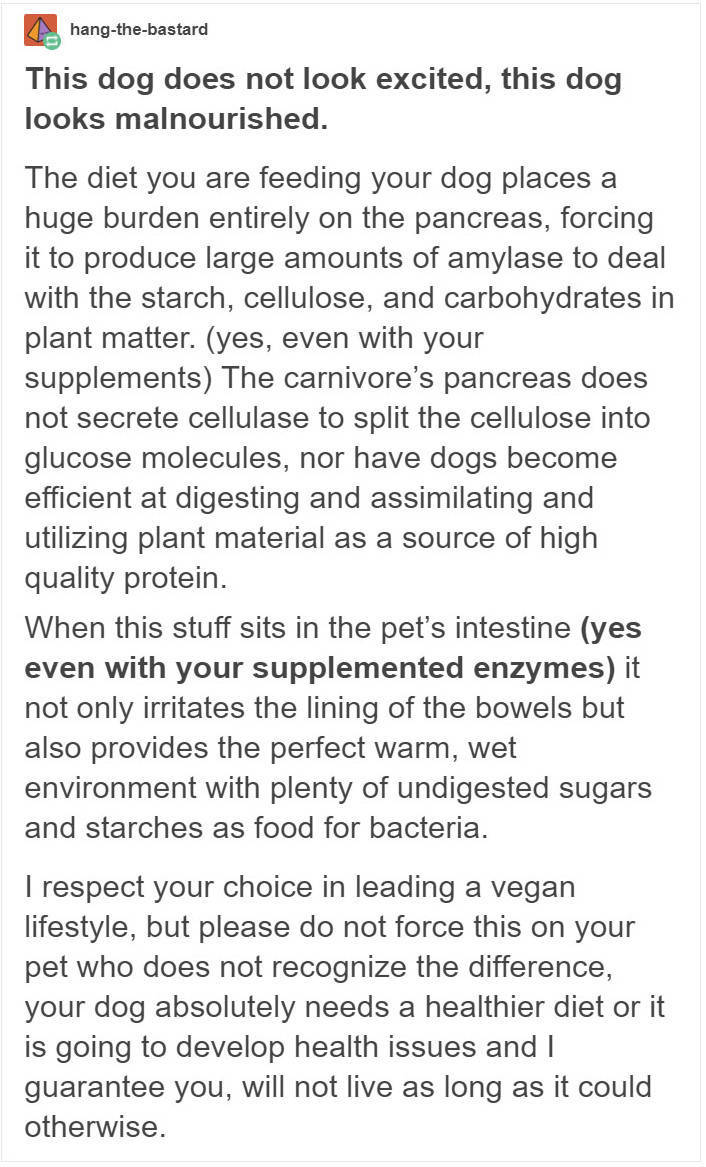 Don’t Try To Force Your Dog To Be Vegan! Don’t Try To Force Your Dog To Be Vegan!