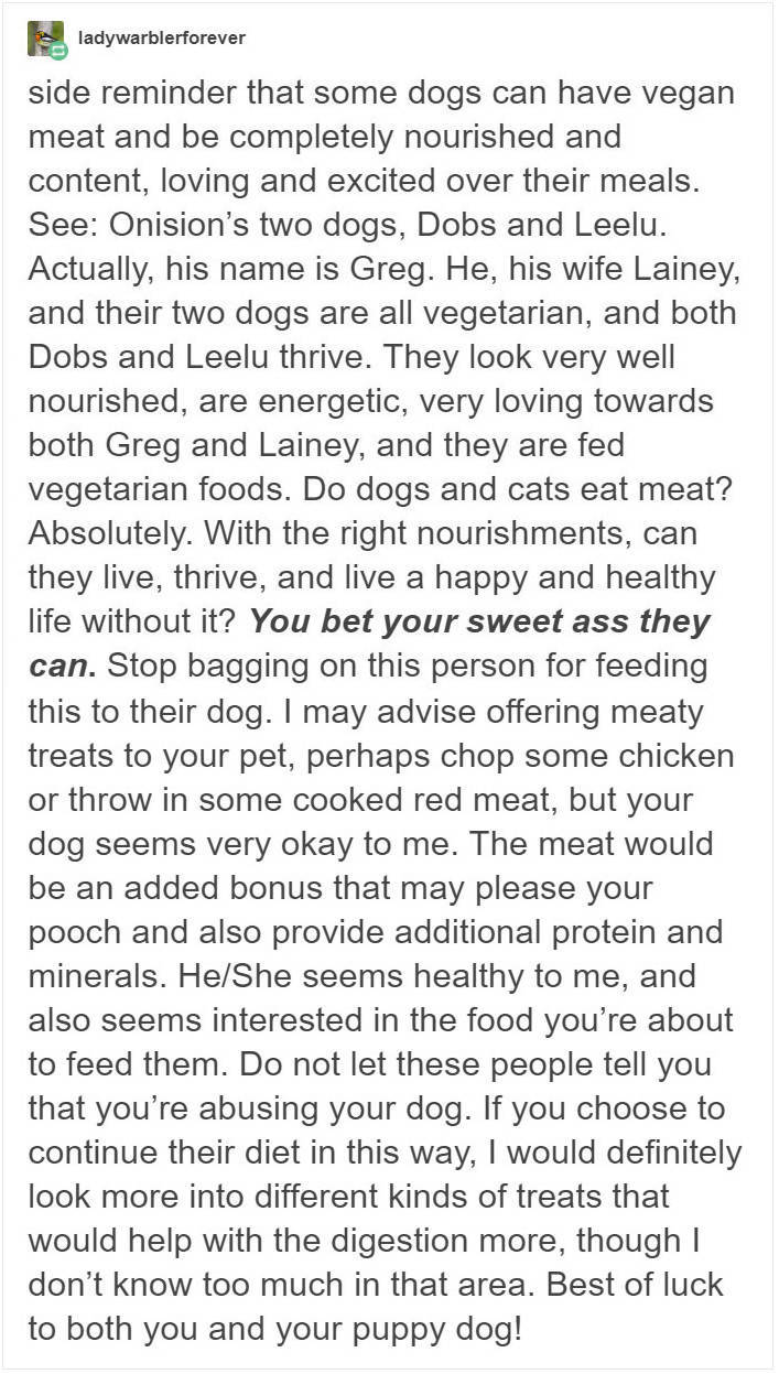 Don’t Try To Force Your Dog To Be Vegan! Don’t Try To Force Your Dog To Be Vegan!
