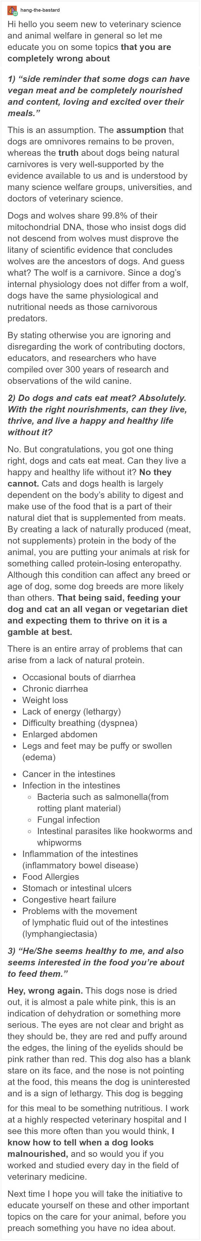 Don’t Try To Force Your Dog To Be Vegan!