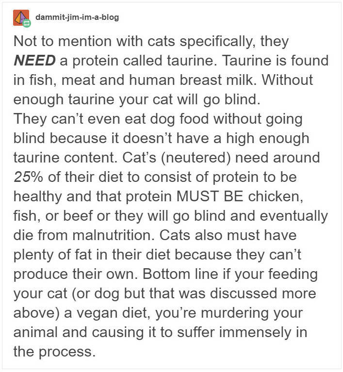 Don’t Try To Force Your Dog To Be Vegan! Don’t Try To Force Your Dog To Be Vegan!