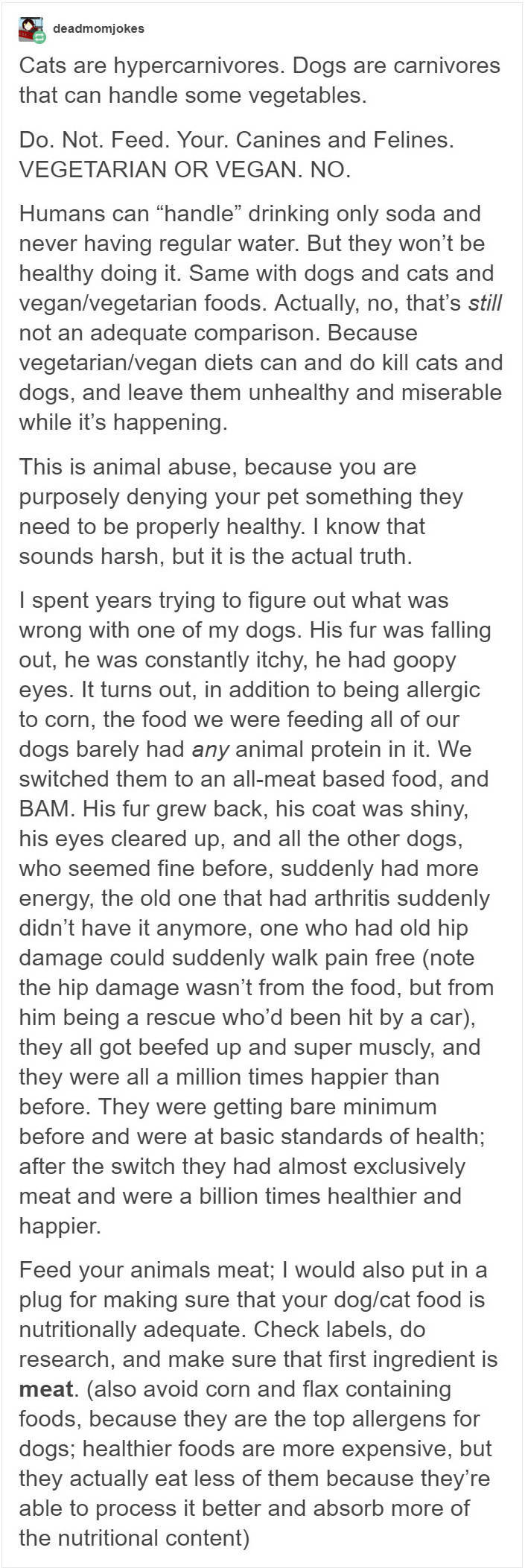 Don’t Try To Force Your Dog To Be Vegan!