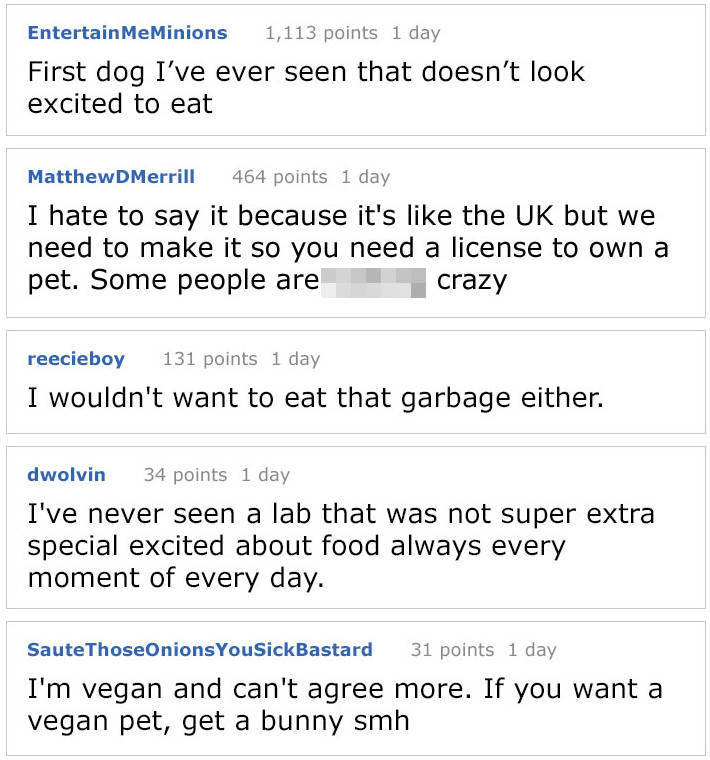 Don’t Try To Force Your Dog To Be Vegan! Don’t Try To Force Your Dog To Be Vegan!
