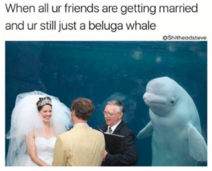 Long Life And Happy Wedding Memes To You!