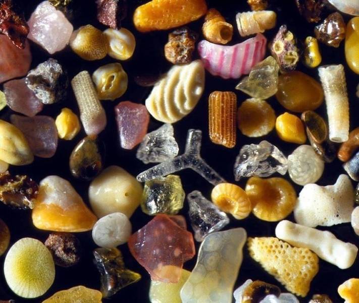 There Is Another World On The Other Side Of The Microscope’s Lenses