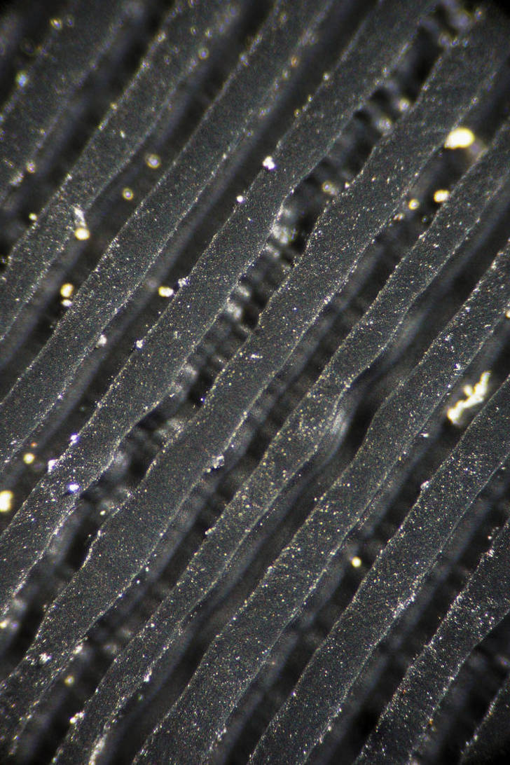 There Is Another World On The Other Side Of The Microscope’s Lenses