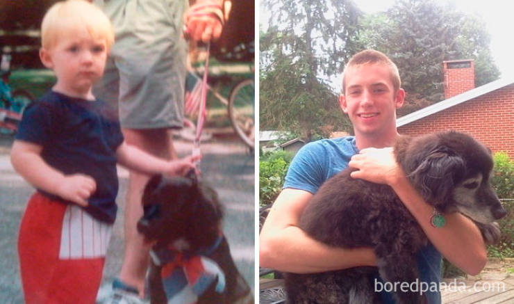 Dogs Grow Up So Fast, Especially Compared To Their Owners!