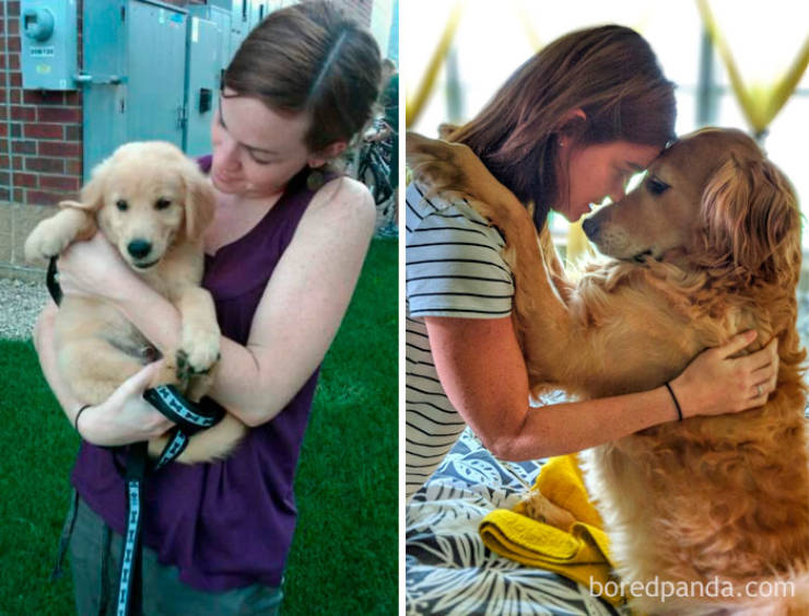 Dogs Grow Up So Fast, Especially Compared To Their Owners!