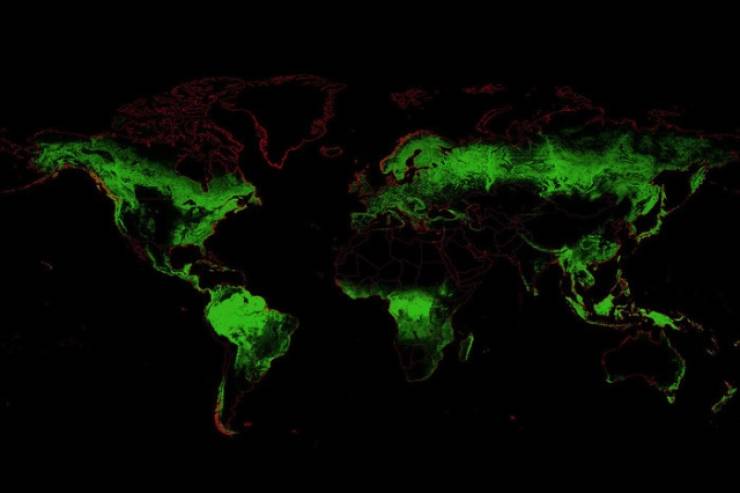 World’s Forests As Seen From Space