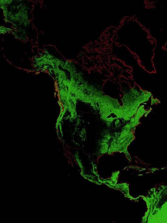 A világ erdei az űrből