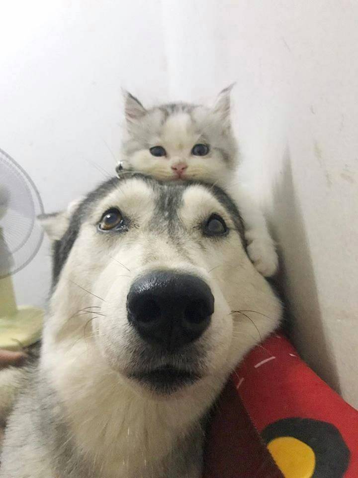 Daily Picdump [WEEKEND EDITION]