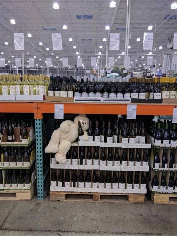 Daily Picdump [WEEKEND EDITION]