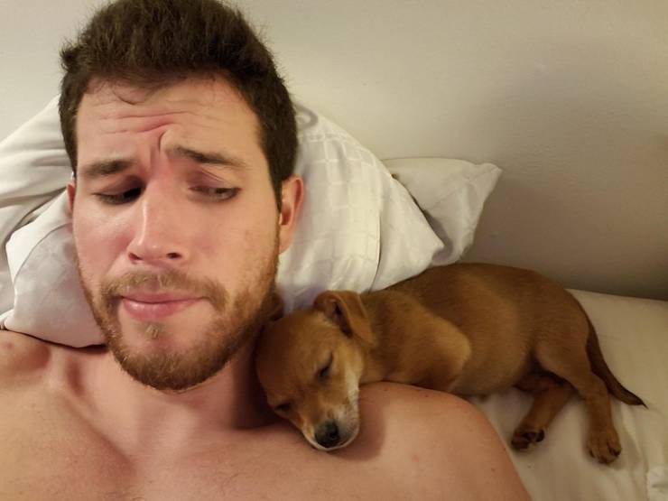 Pets Will Make Sure You Are Never Bored