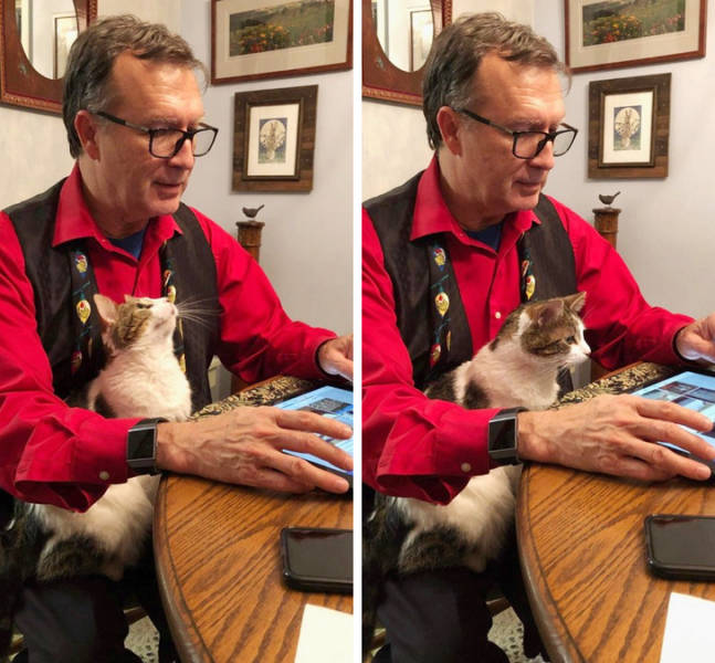 Pets Will Make Sure You Are Never Bored
