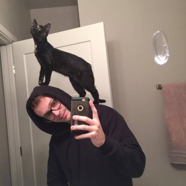 Pets Will Make Sure You Are Never Bored