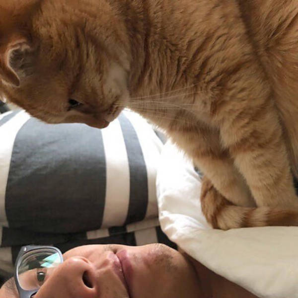 Pets Will Make Sure You Are Never Bored