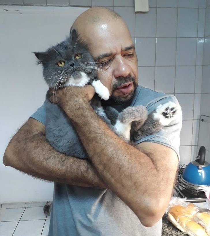 Pets Will Make Sure You Are Never Bored