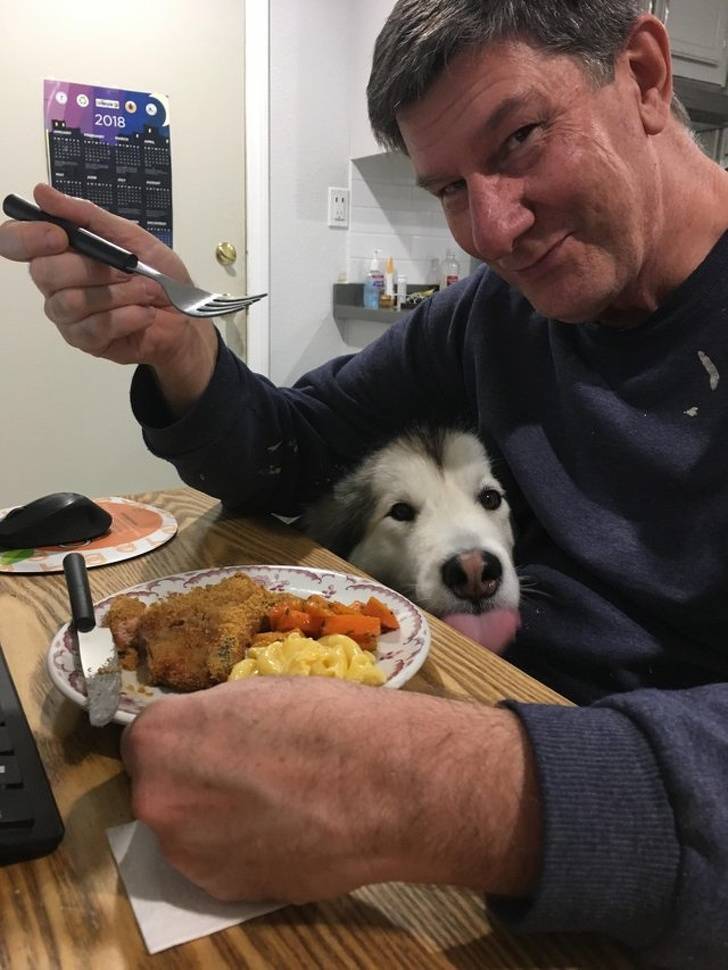 Pets Will Make Sure You Are Never Bored