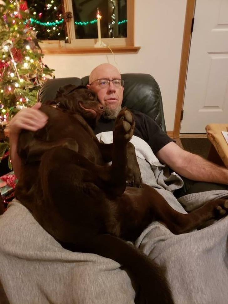 Pets Will Make Sure You Are Never Bored