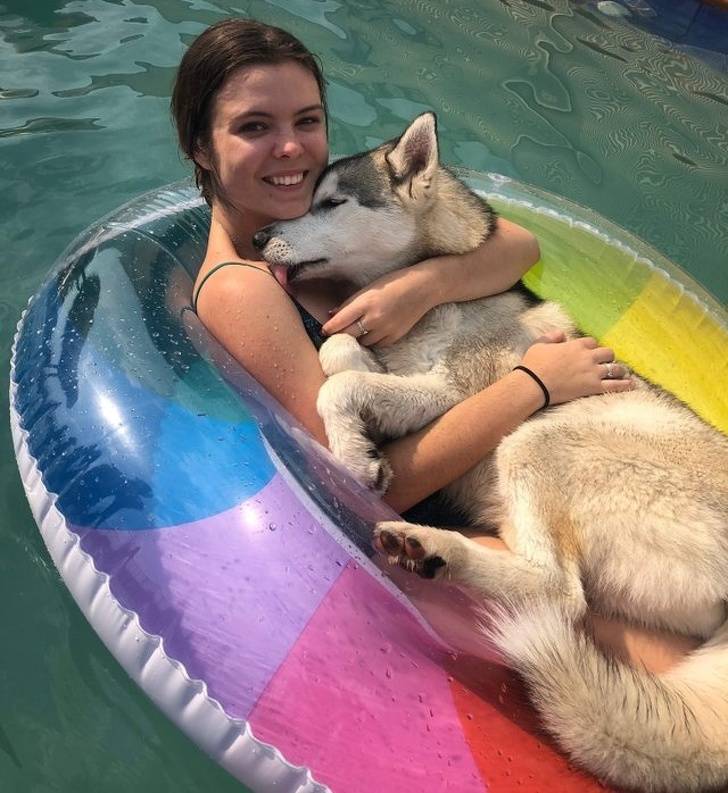 Pets Will Make Sure You Are Never Bored